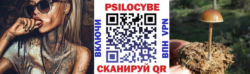 Купить где  Ершов  Псилоцибиновые грибы мицелий 